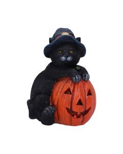 Trick or Treat 13cm Cats Coming Soon