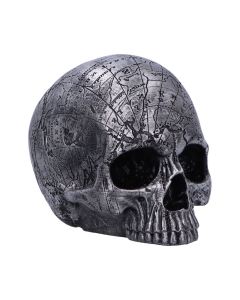 Mind Map 15cm Skulls Coming Soon