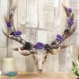 Antlers of Eden 45cm Animal Skulls Gifts Under £100