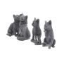Lucky Black Cats 9cm (Display of 24) Cats Back in Stock