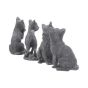 Lucky Black Cats 9cm (Display of 24) Cats Back in Stock