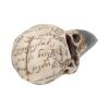 Edgar's Raven Skull 21cm Animal Skulls Gifts Under £100