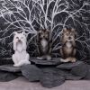 Three Wise Wolves 10cm Wolves Back in Stock