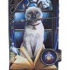 Hocus Pocus Embossed Purse (LP) 18.5cm Cats Gifts Under £100