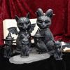 Pawzuph 11cm Cats Back in Stock