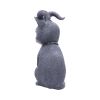 Pawzuph 26.5cm (Large) Cats Back in Stock