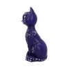 Mystic Kitty Purple 26cm Cats Gifts Under £100