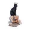 Spirits of Salem (LP) 16.5cm Cats Last Chance to Buy