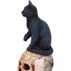 Spirits of Salem (LP) 16.5cm Cats Last Chance to Buy