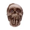 Breaking Out Skull (JR) 20cm Skulls Gifts Under £100