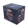 Breaking Out Skull (JR) 20cm Skulls Gifts Under £100