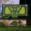 Absinthe - La Fee Verte Embossed Purse 18.5cm Unspecified Gifts Under £100