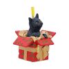 Present Cat Hanging Ornament (LP) 9cm Cats Christmas Product Guide