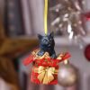 Present Cat Hanging Ornament (LP) 9cm Cats Christmas Product Guide