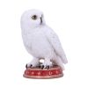 Wizard's Familiar 10cm Owls Back in Stock