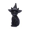 Purrah 30cm (Large) Cats Gifts Under £100