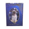 Hocus Pocus Journal (LP) 17cm Cats Sale Items
