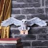 Harry Potter Hedwig Wall Plaque 45cm Owls Gifts Under £100