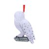 Harry Potter Hedwig's Rest Hanging Ornament 9cm Fantasy Out Of Stock