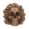 The Theory of Relativity 21cm Skulls Flash Sale Skulls & Gothic
