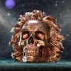 The Theory of Relativity 21cm Skulls Flash Sale Skulls & Gothic