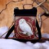 Magical Flight Shoulder Bag 23cm Owls Gifts Under £100