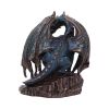 Protector of Magick (LP) Bronze 17.5cm Dragons Back in Stock