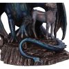 Protector of Magick (LP) Bronze 17.5cm Dragons Back in Stock