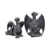 Dark Fury (Set of 2) 10cm Dragons Dragon Figurines
