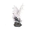 Aarya Dragon Guardian 59cm Fairies Roll Back Offer