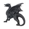 Dragon Watcher 31cm Dragons Back in Stock