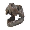 Tyrannosaurus Rex Skull Freestanding 16cm Dinosaurs Stock Arrivals