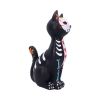 Sugar Puss 26cm Cats Back in Stock
