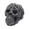 Hell's Desire 18cm Skulls Roll Back Offer