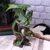 Adult Forest Dragon (AS) 25.5cm Dragons Year Of The Dragon