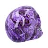 Purple Romance 18cm Skulls Roll Back Offer