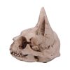 Bastet's Secret 15cm Animal Skulls Gifts Under £100