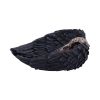 Edgar's Raven Trinket Holder 17cm Ravens Gifts Under £100
