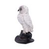 Soren 15.3cm Owls Gifts Under £100