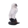 Soren 15.3cm Owls Gifts Under £100