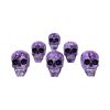 Purple Romance (Medium) 11cm (Pack of 6) Skulls Skulls (Premium)
