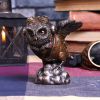 Learning to Fly 10.5cm Owls Black Friday Sale