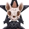 Familiar Worship Backflow Incense Burner 15.3cm Animal Skulls Animal Skulls