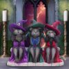 Three Wise Witchy Kittys 15.3cm Cats Back in Stock