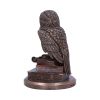An Owl's Tale 14.5cm Owls Coming Soon