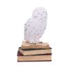 Library of Wisdom 17cm Owls Coming Soon
