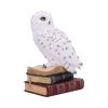 Library of Wisdom 17cm Owls Coming Soon