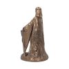 Celtic Danu Goddess 22.5cm History and Mythology Gifts Under £100