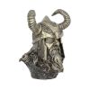 Odin Bust 21.5cm History and Mythology Gifts Under £100
