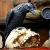 Ravens Remains 13cm Ravens Roll Back Offer